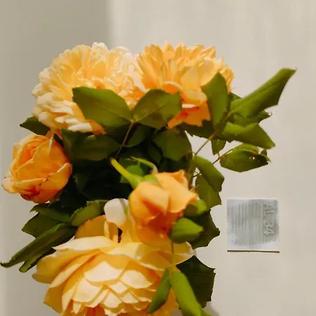 Apartamento Al34 La Morra